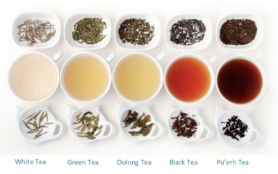TEA BENEFITS